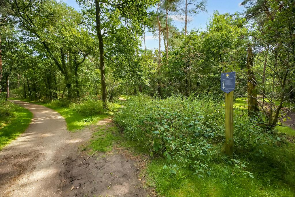 Foto – Oosterlaan 12
