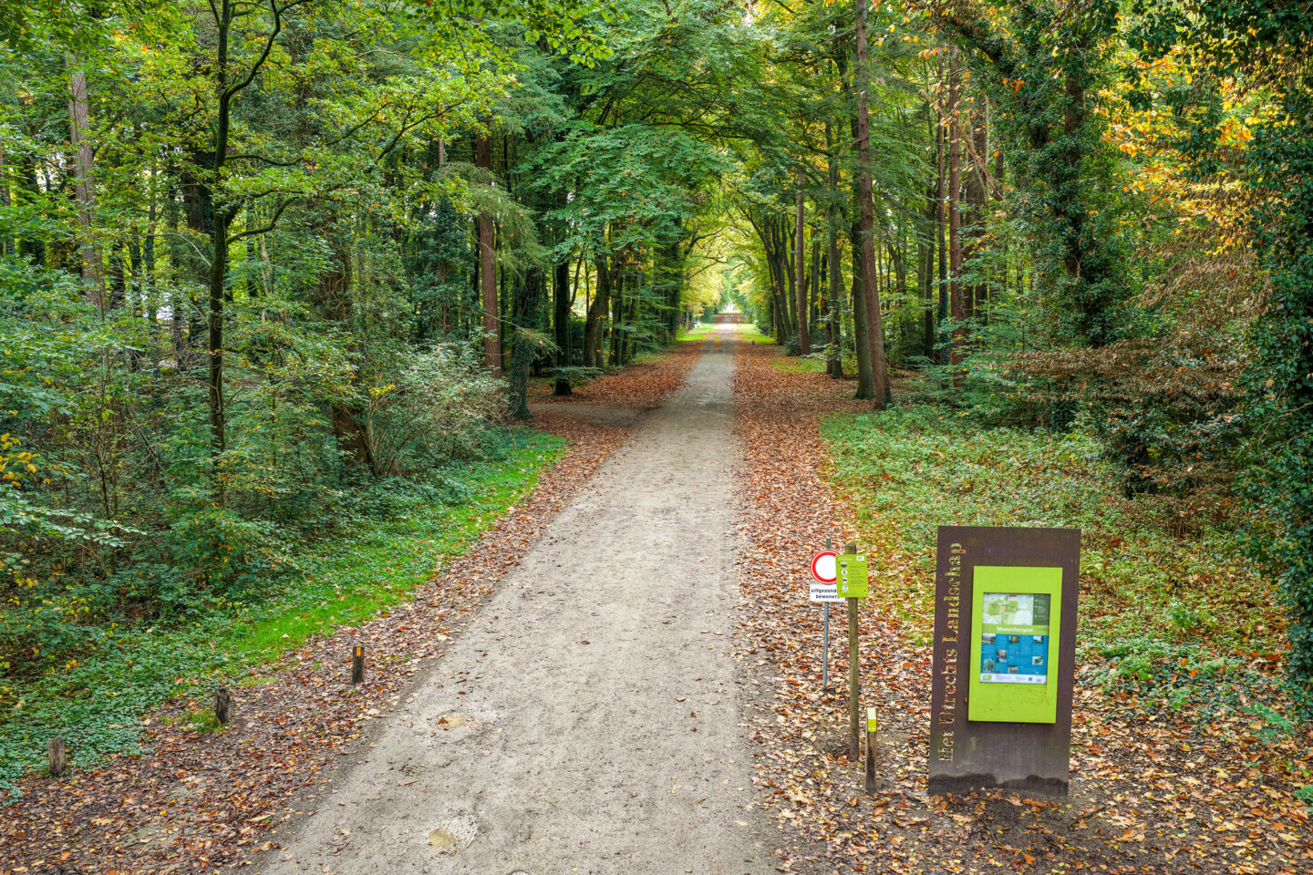 Foto – Oude Rijksstraatweg 6